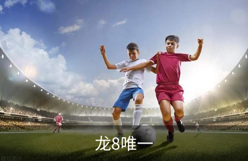 龙8唯一品牌故事